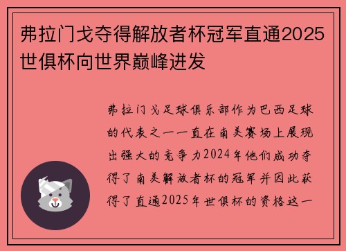 弗拉门戈夺得解放者杯冠军直通2025世俱杯向世界巅峰进发